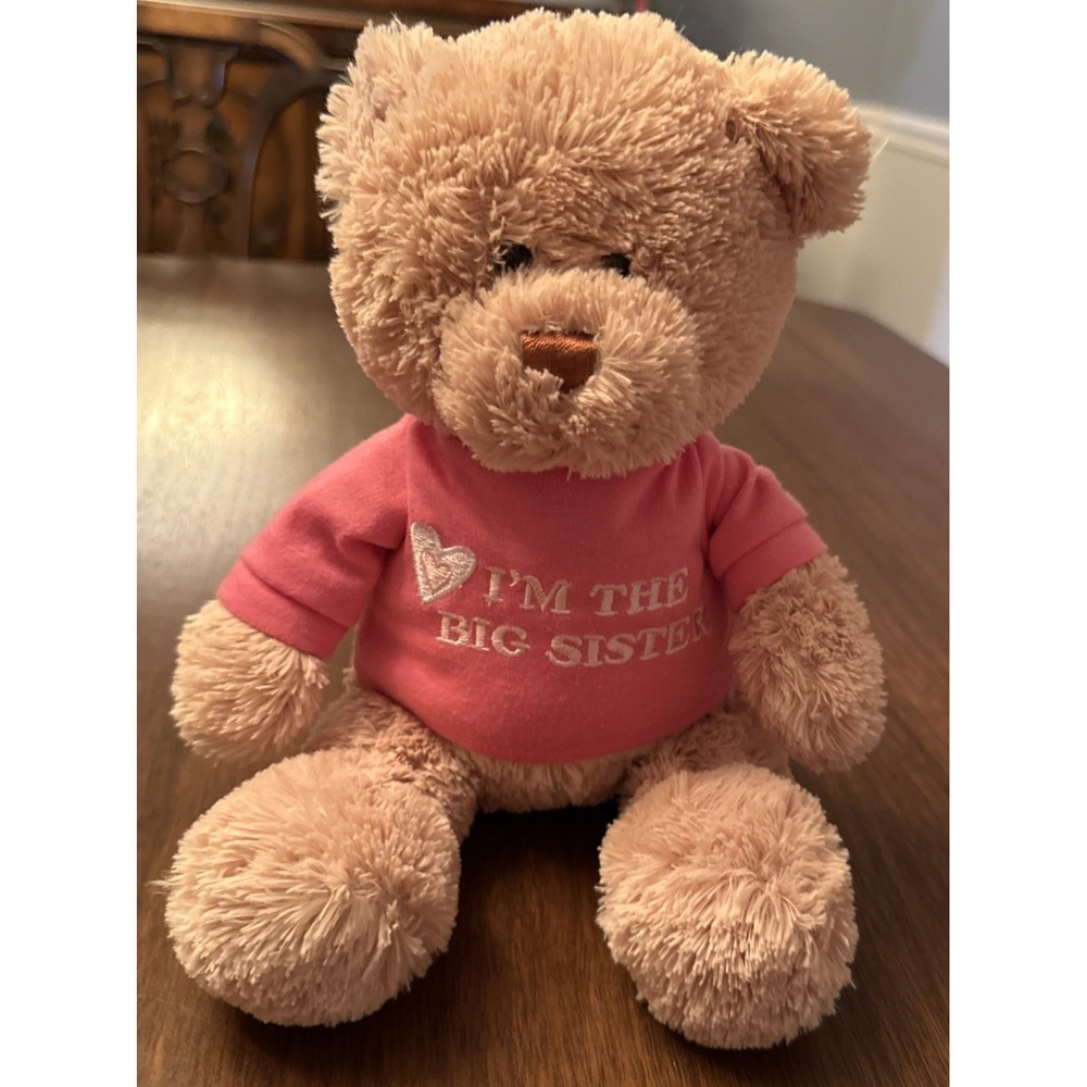 GUND 12" I'm The Big Sister Teddy Bear Pink Shirt Stuffed Animal Toy